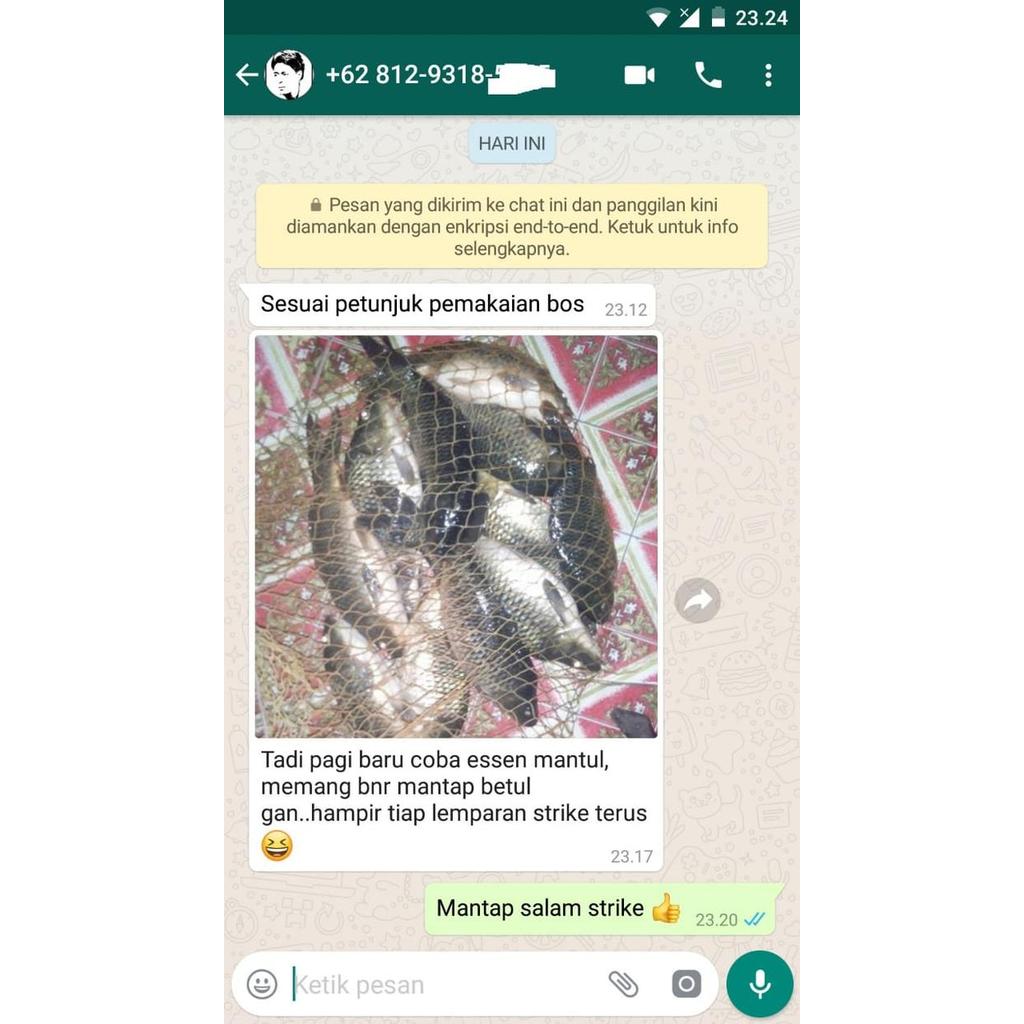 Essen Ikan Mas Galatama Babon Induk