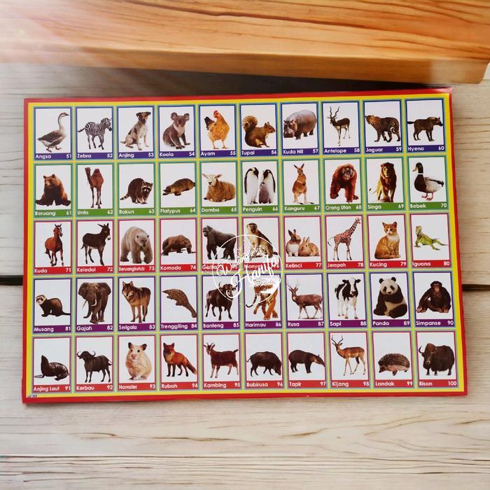 Poster Edukasi Gambaran Hewan 50 / LD 302