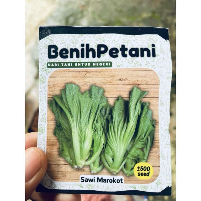 500 biji - Benih unggul SAWI PAHIT marokot
