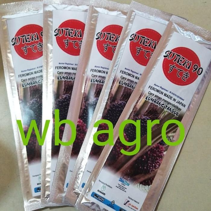 v Feromon Suteki 90 Hama Kumbang Tanduk