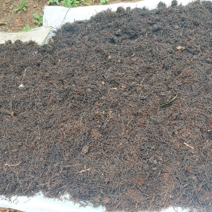 "New" Akar Pakis Cacah Media Tanam Kering Kemasan Karung 10kg Murah