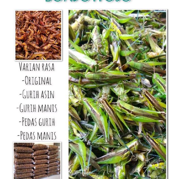 Belalang Goreng 1Kg Walang Goreng Utis Food Snacks Pedas Manis