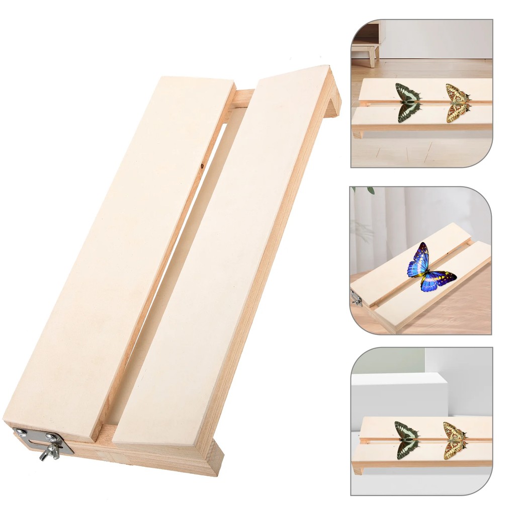 Display Specimen Display Spreading Board Experiment Tool Spreading Wing Spreading Board Specimen