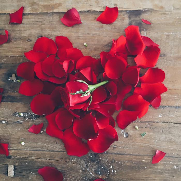 Rose Petals / Kelopak Bunga Mawar Asli Segar