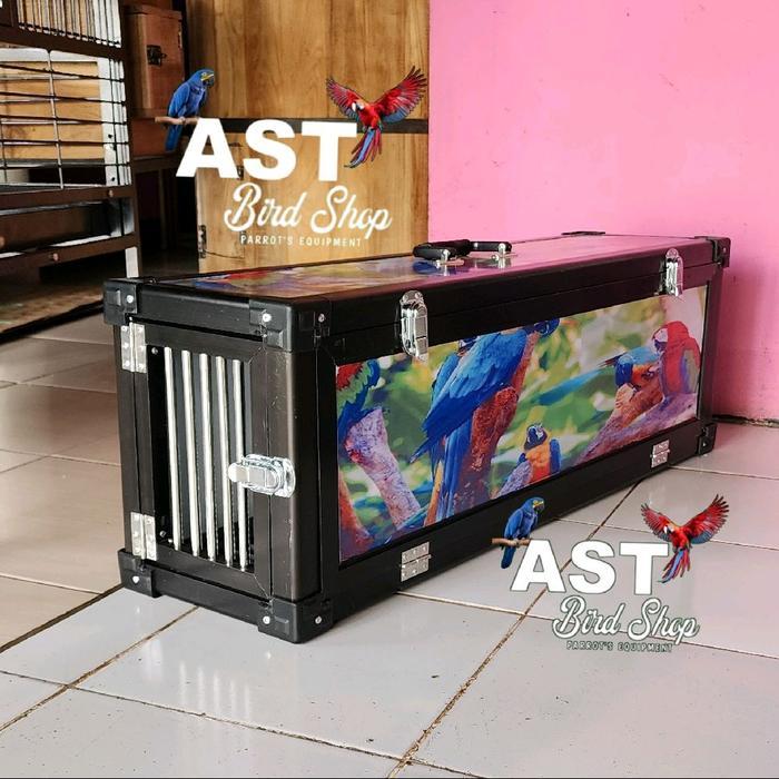 Ready Box Ff Pet Kargo Box Fre Ply Burung Macaw Large Parrot Berkualitas