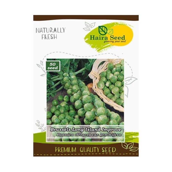 *:*:*:*:*] Benih Bibit Brussels Long Island Brussel Sprout Kubis Muda Haira Seed