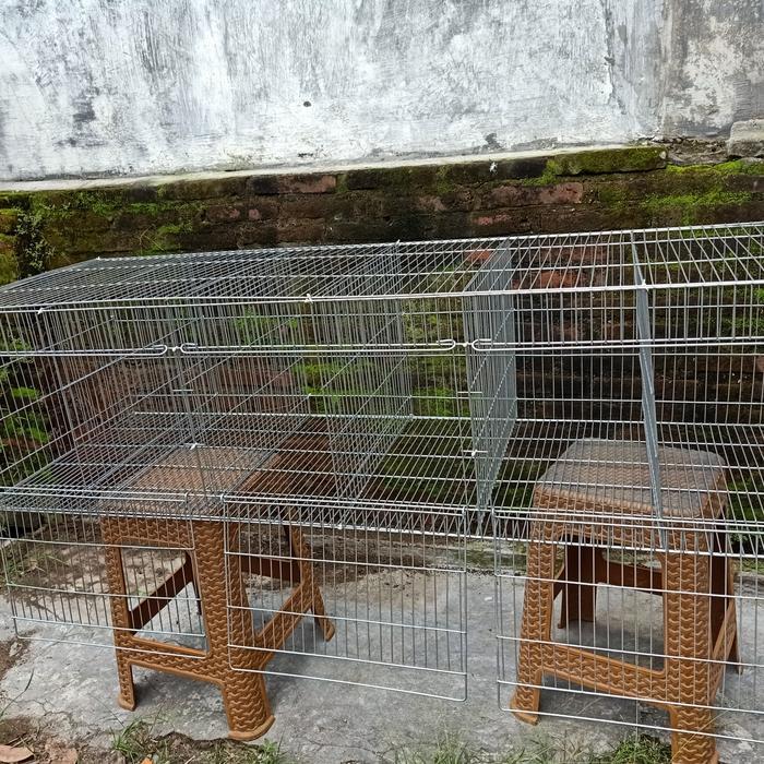 Kandang Galvanis 150.50.40/6Hole-3Hole