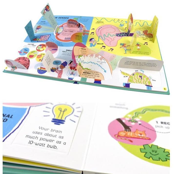 USBORNE HOW YOUR BODY WORKS BUKU BOARD BOOK