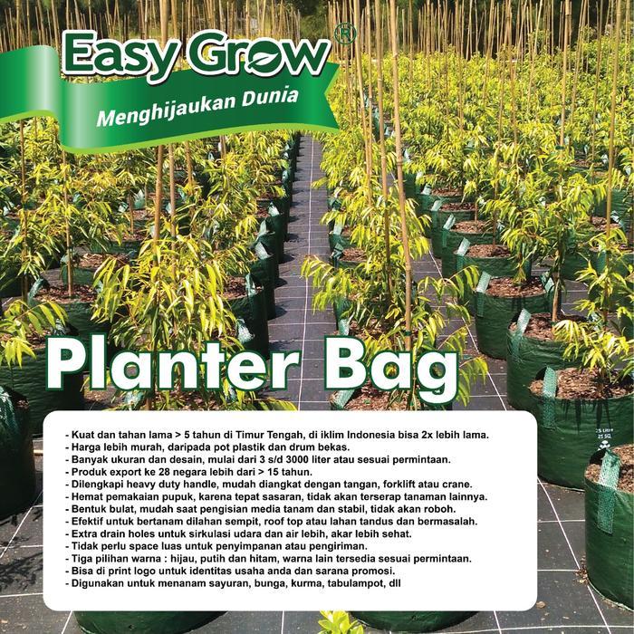 "New" Planter Bag / Planter Bag Easy Grow / Easy grow / Planter Bag Hijau