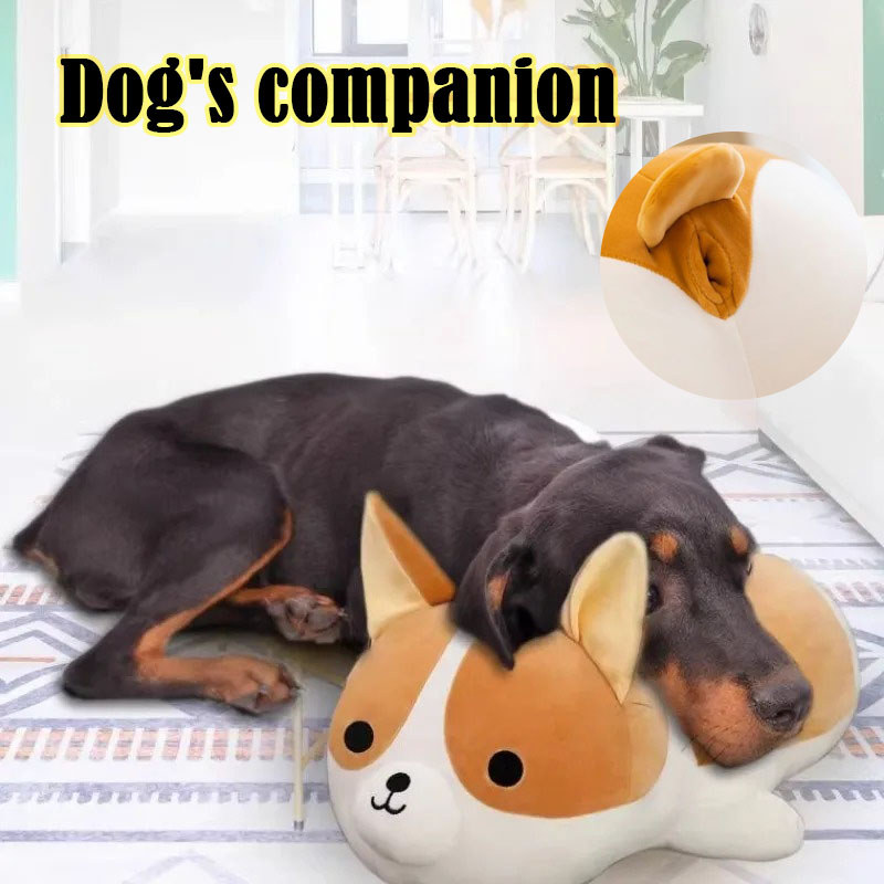 Dog Interactive Toys Adolescent Partner Prevent Irritability and Depression Dog Sexual Partner