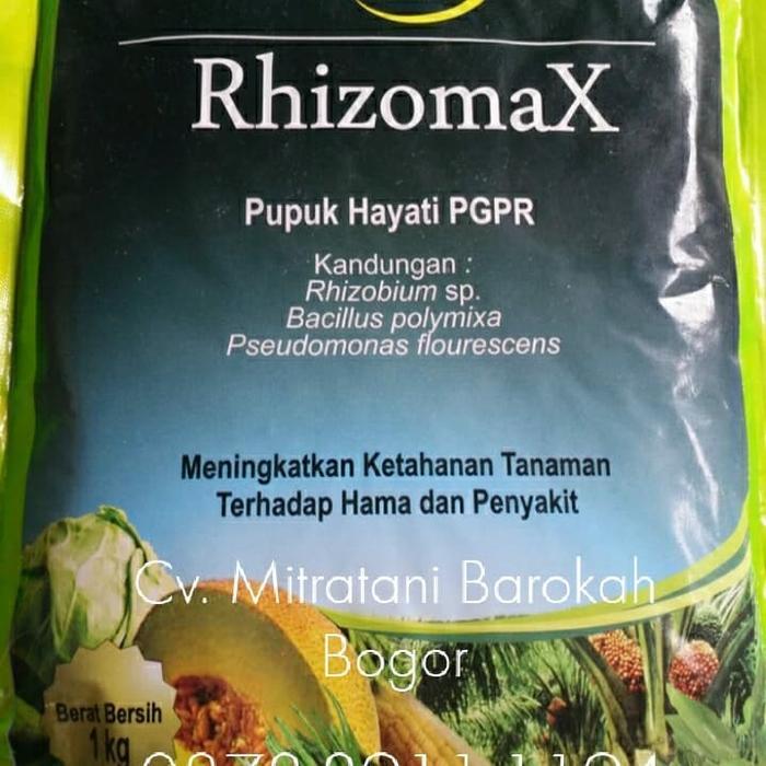 "New" Pupuk PGPR (Rhizomax)