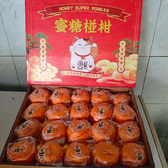 jeruk ponkam 40 buah LQ dus gift imlek