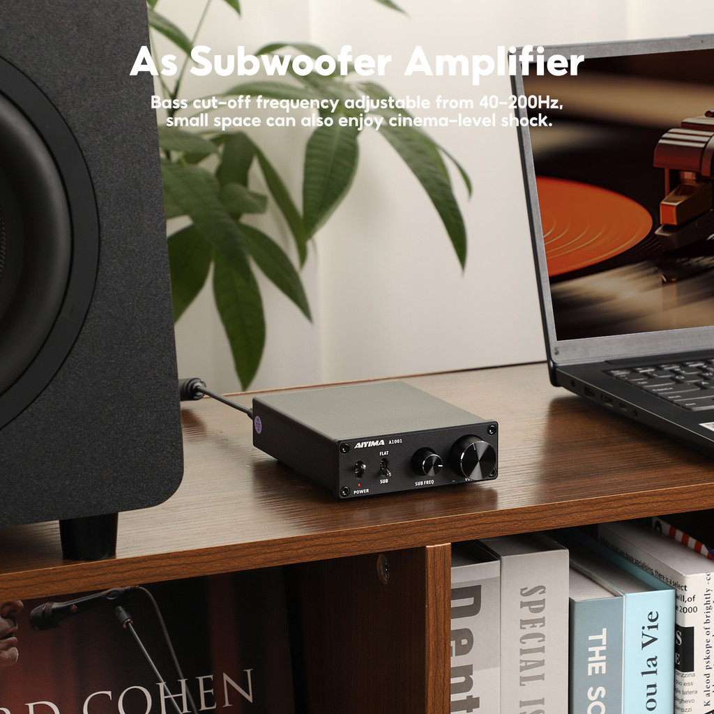 AIYIMA A1001 Subwoofer Amplifier TPA3116 Power 100W Amplifier Speaker Sound Amplificador Digital