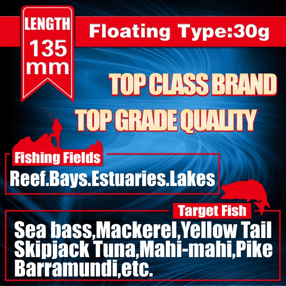 SEA Minnow Floating Lure 135MM 30G MINNOW Hard Fishing Lure Wobble Crankbait Bait Floating Minnow