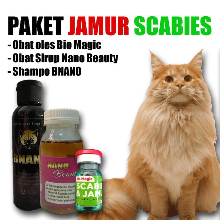 Paket Jamur Scabies Kucing Lengkap Kucing obat perawatan kutu & tungau