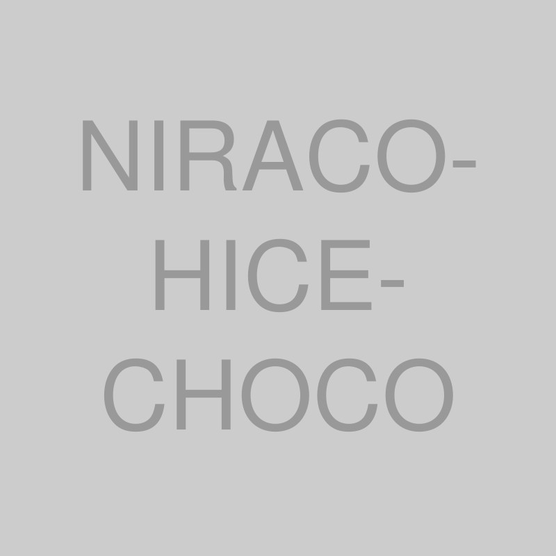 Bahan Minuman Es Krim NIRACO Hard Ice Cream Chocolate - Bubuk Serbuk Es Krim Coklat Premium