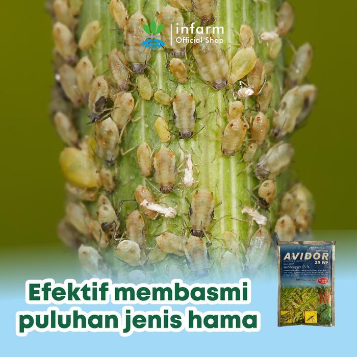 Infarm - Pestisida Avidor 100 Gram Insektisida Hama Tanaman Padi Cabai Avidor Insektisida 100Gr