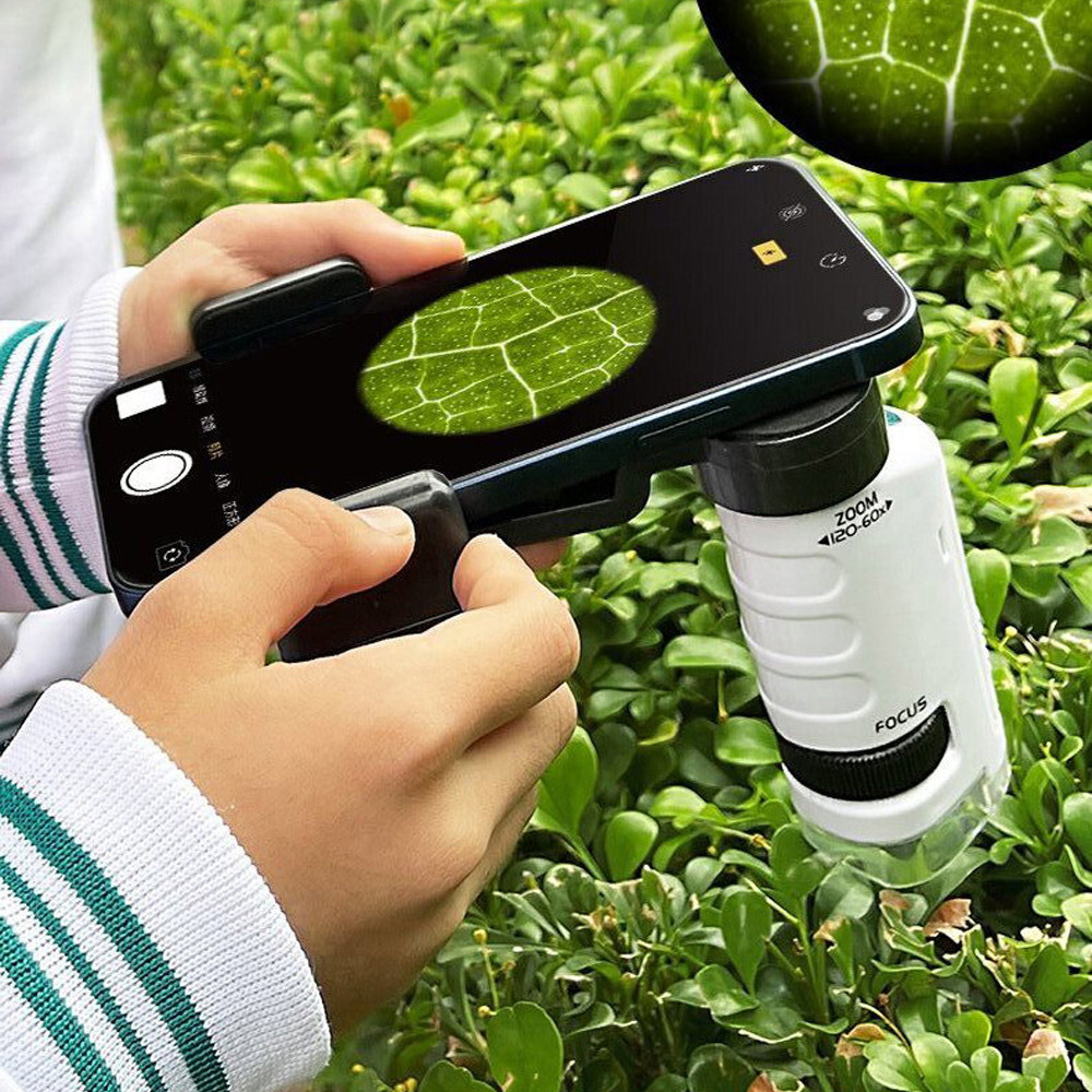 Kit Mikroskop Saku Genggam Mikroskop Mini Lab 60-120x Mikroskop Bertenaga Baterai dengan Lampu LED K