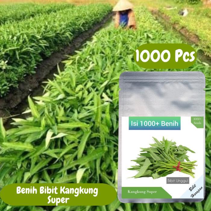 Benih Kangkung Bibit Kangkung Super Benih Sayuran Hidroponik Taman Berkebun