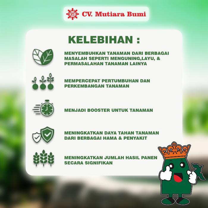 Serasiinspace Pupuk Karet Pupuk Booster Karet Pupuk Organik Cair Humic Acid Pohon Karet Rojo