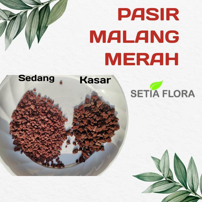 Media Tanam Pasir Malang Merah Karungan
