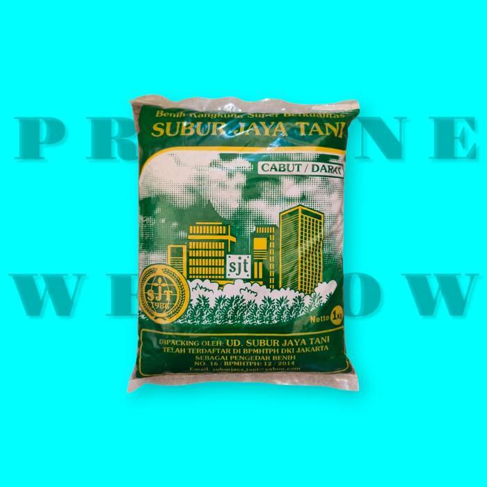 Bibit Benih Biji Kangkung 1 Kg Sayuran hidroponik