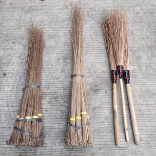 SAPU LIDI TAMAN SAPU LIDI AREN SAPU LIDI BERGAGANG