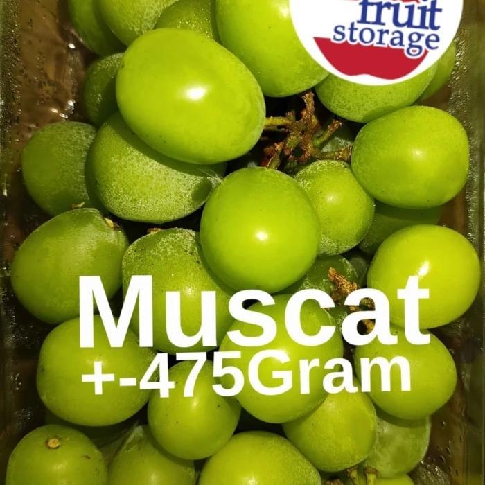 Buah Anggur Muscat Hijau / Merah Seedless China Fresh Grapes Terbaik