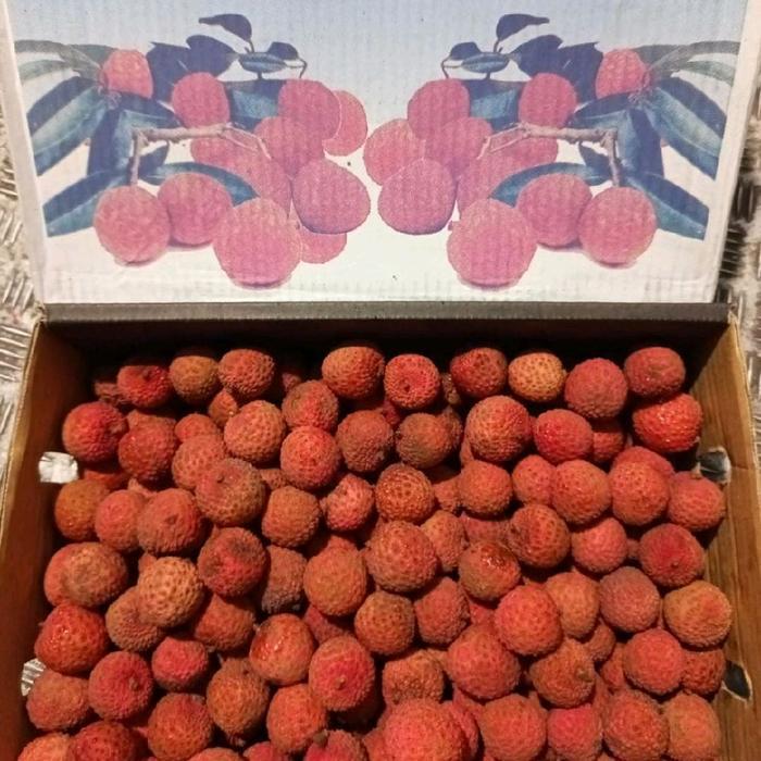 Buah segar buah leci per 1 Dus buah 5kg import