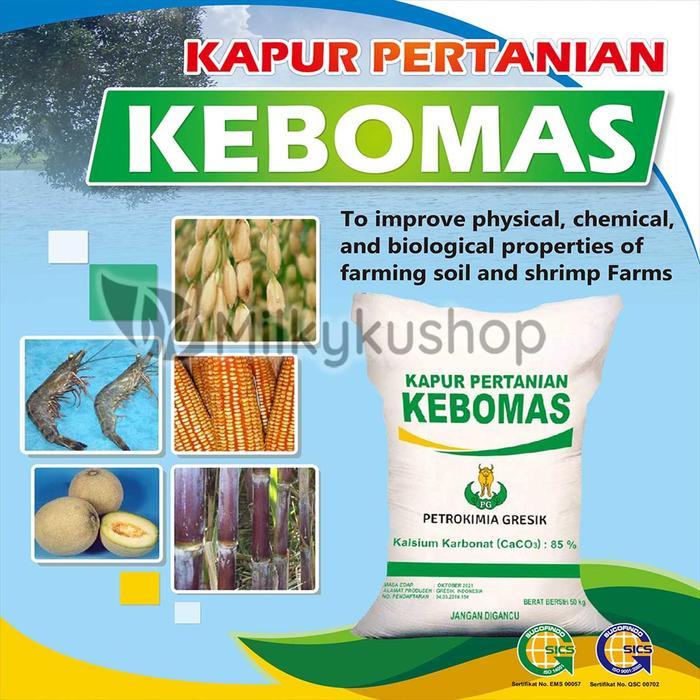 "New" PUPUK KAPUR PERTANIAN KAPTAN DOLOMIT DOLOMITE KEBOMAS ALAS GECKO REPACK 1 KG