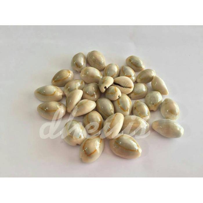 Kuwuk - Biji Congklak Kerang