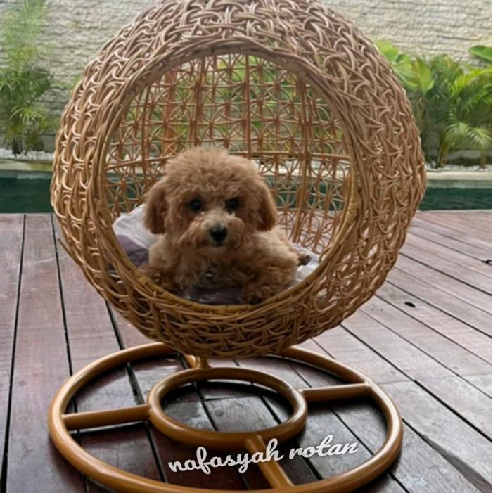 HOT SALE ayunan kucing / rumah kucing/ ayunan anjing rotan sintetis
