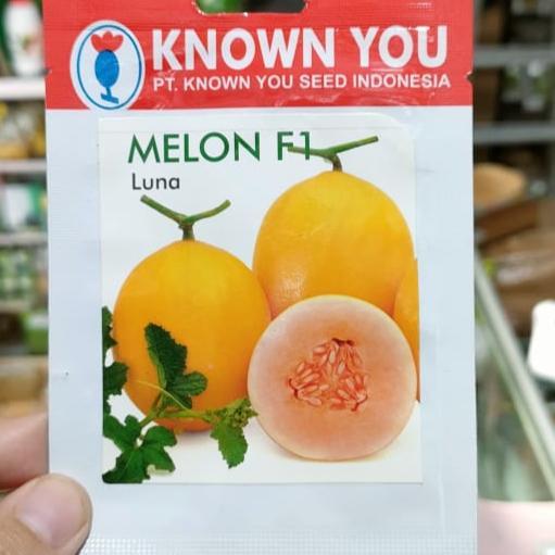 Zico Stored Melon Luna - Melon Kuning