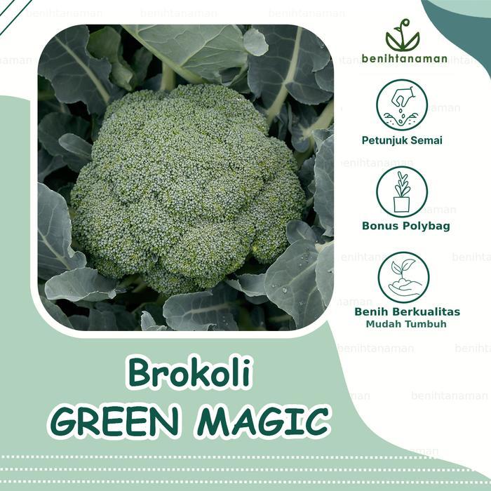 Benih Brokoli Hijau GREEN MAGIC F1 isi 10 biji