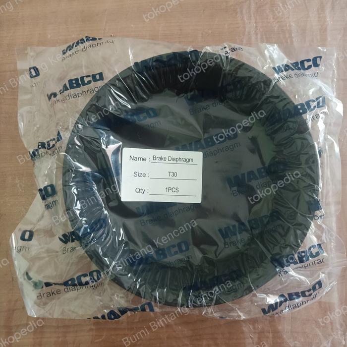 KARET CHAMBER BRAKE DIAPHRAGM T30 TYPE 30