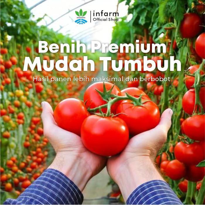 INFARM - BENIH BIBIT BIJI TOMAT BUAH VALMATO TOMAT BUAH MANIS PREMIUM BENIH TANAMAN TOMAT BIBIT
