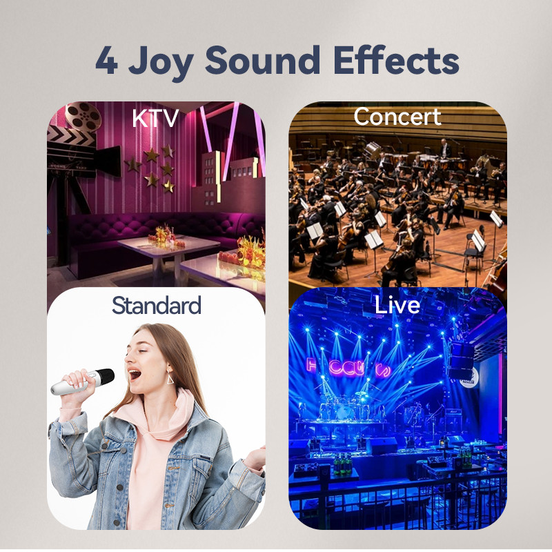 Karaoke Mic for Tesla Model Cybertruck, 3, Y, X Wireless UHF Car Karaoke Mic w/ USB-C & USB-A 2