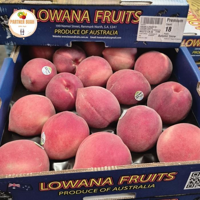 Buah Peach White Australia Fresh 1 Kg