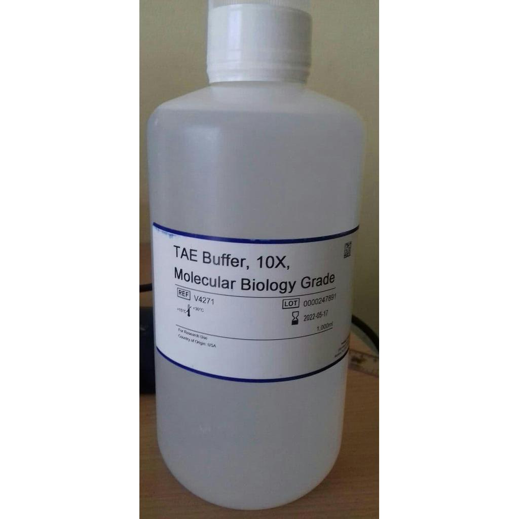 TAE BUFFER 10X, 1000ML