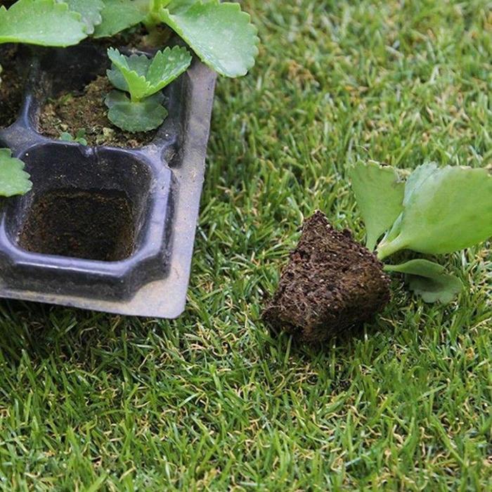 20pcsNampan Semai, Pot Semai, Penanaman Pot Nutrisi, Nampan Pemotongan Pembibitan, Berbagai Ukuran