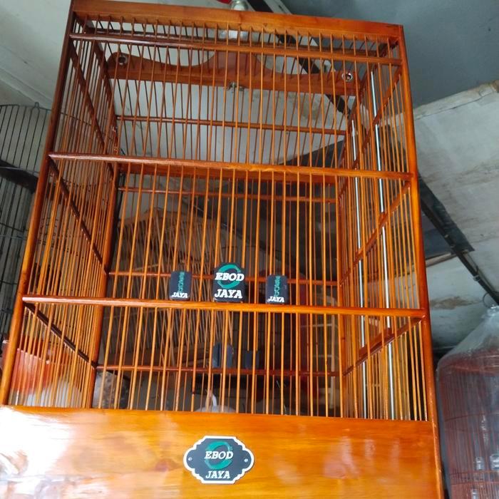 Ebod Jaya Sangkar Kotak Ebod Reborn No 1 dan no 2 Khusus Jabodetabek Variasi Pion Ebod Gtungan Lipat