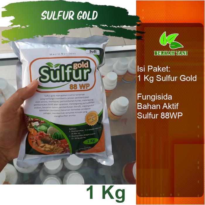 Zico Stored Sulfur Gold 1 Kg Fungisida Bahan Aktif Belerang