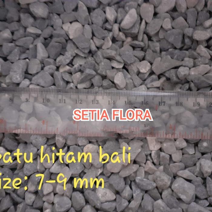 Batu Alam Hias Taman Tanaman/Hitam Bali Karungan