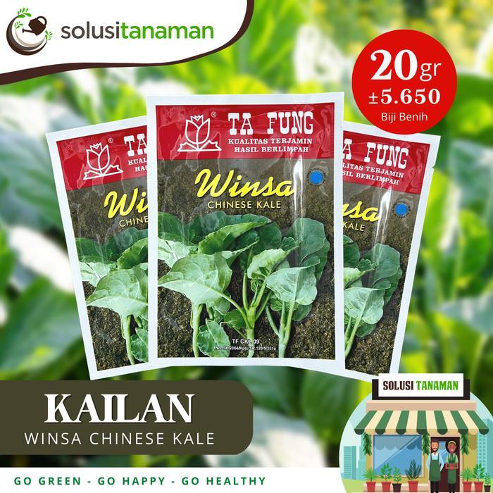 Benih Sayuran Kailan Kale @20gr - Biji Bibit Sayur Tanaman Hidroponik