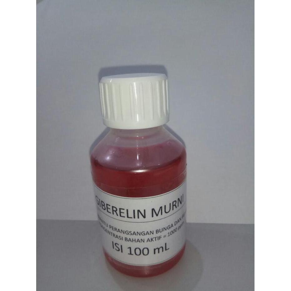 "New" HORMON TANAMAN GIBERELIN