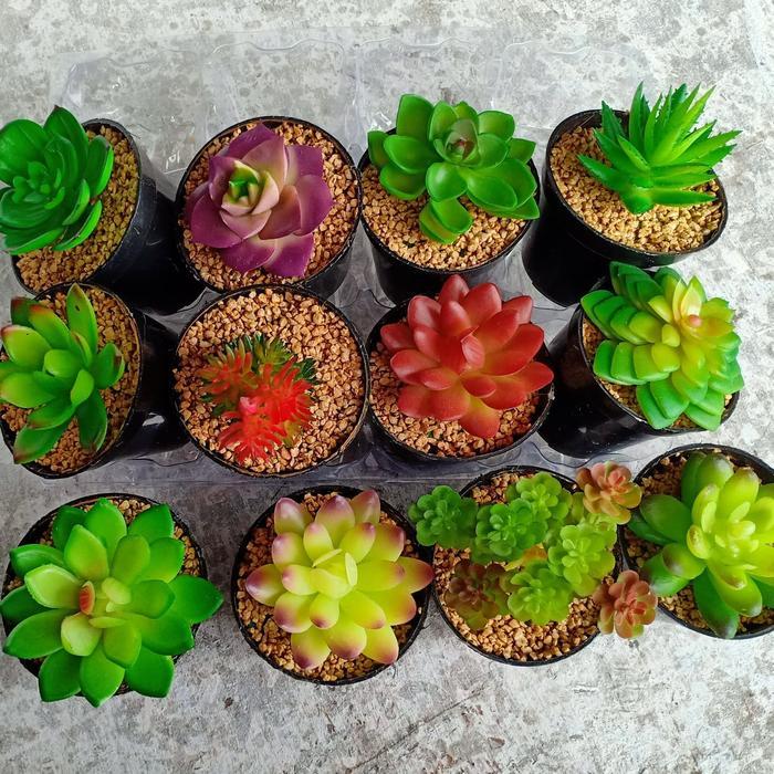 "New" kaktus latex kaktus SUKULEN bunga plastik artificial dekorasi rumah