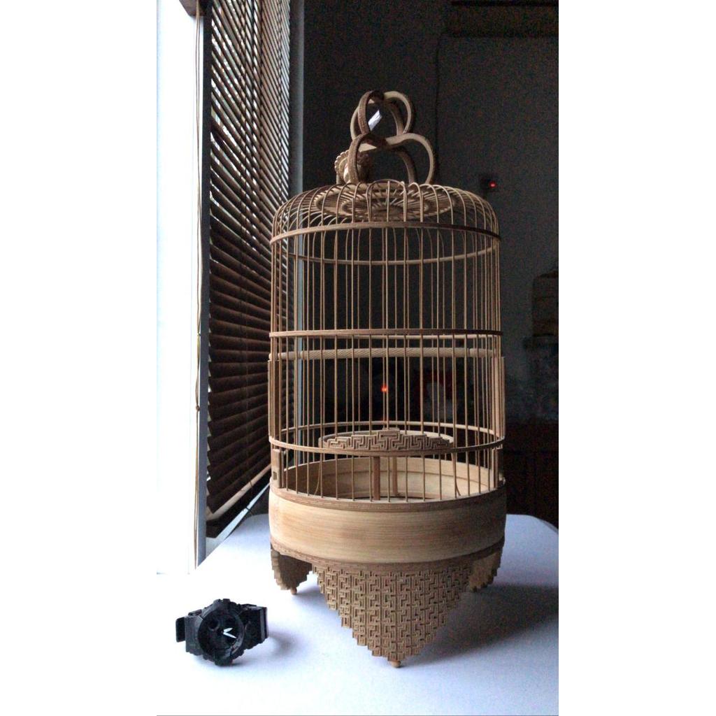 TERBARU KANDANG PLECI LONGCIM CUNGKO UKIR WANCE