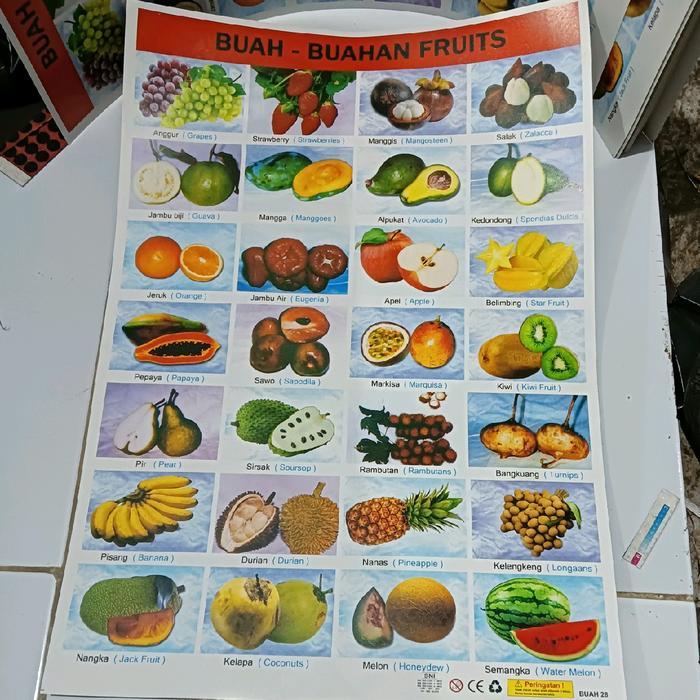 poster buah buahan / poster edukasi buah buahan / gambar buah