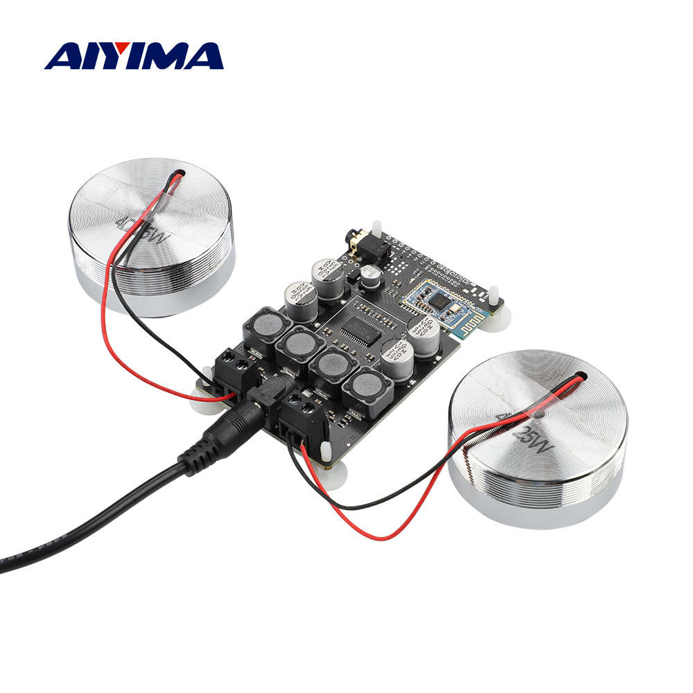 Aiyima 2 Inch Audio Portable 25W Resonance Vibration Speaker Tpa3118 Bluetooth 5.0 Amplifier Sound