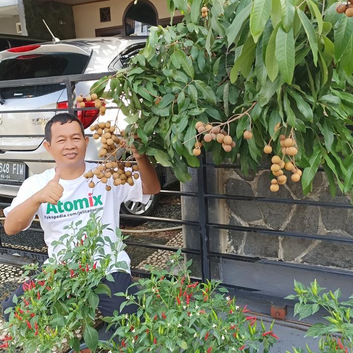 "New" Nutrisi Hidroponik ABmix (Atomix) untuk sayuran dan buah buahan, 500ml